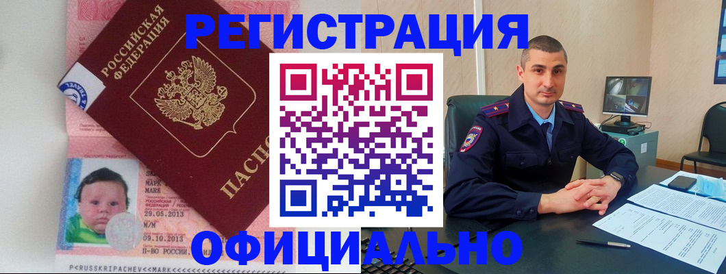 прописка поиск в Купино